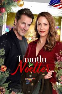Bringing Christmas Home - Posters