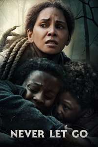 Never Let Go - Posters