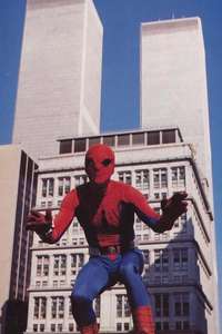 Spider-Man Strikes Back - Posters
