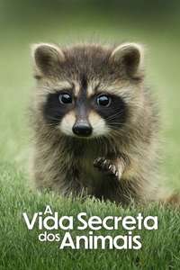 The Secret Lives of Animals - Posters