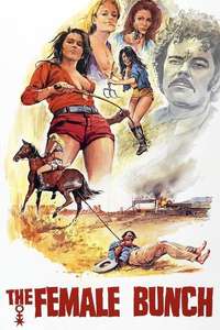 The Female Bunch - Posters