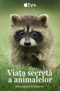 The Secret Lives of Animals - Posters