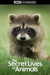 The Secret Lives of Animals - Posters