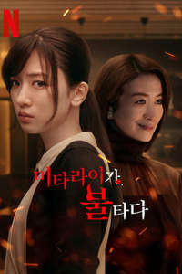 Burn the House Down - Posters