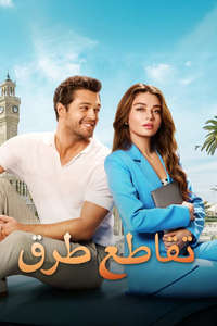 Love in 39 Degrees - Posters