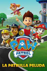 Paw Patrol - Posters