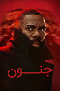 The Madness - Posters