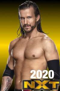 WWE NXT - Posters
