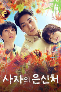 Light of My Lion - Posters