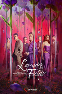Lavender Fields - Posters