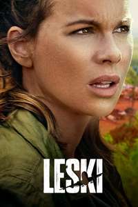 The Widow - Posters