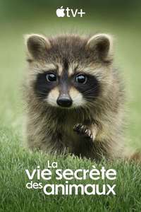 The Secret Lives of Animals - Posters