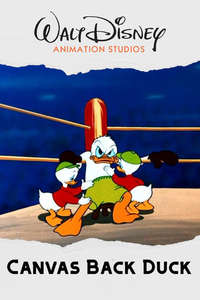Canvas Back Duck - Posters