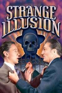 Strange Illusion - Posters