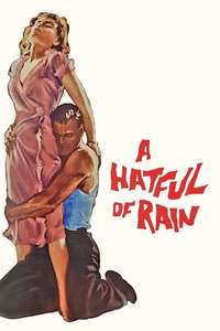 A Hatful of Rain - Posters