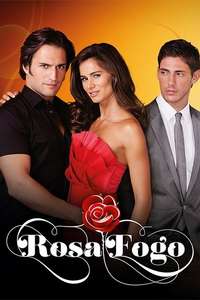 Rosa Fogo - Posters