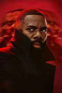 The Madness - Posters