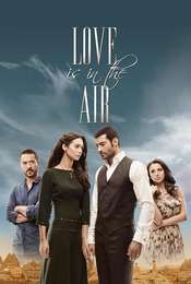 Love Is In The Air