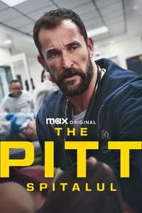 The Pitt - Posters