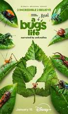A Real Bug's Life