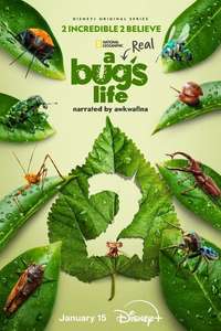 A Real Bug's Life - Posters