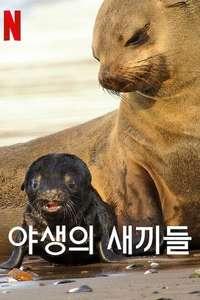 Wild Babies - Posters