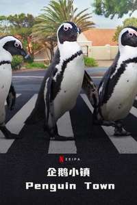 Penguin Town - Posters