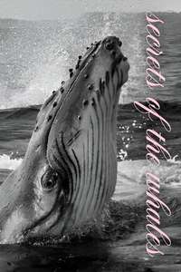 Secrets of the Whales - Posters