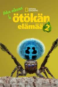 A Real Bug's Life - Posters