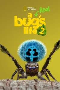 A Real Bug's Life - Posters