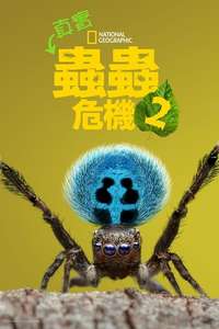 A Real Bug's Life - Posters