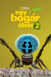 A Real Bug's Life - Posters