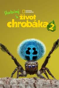 A Real Bug's Life - Posters