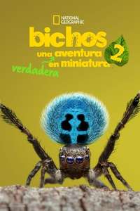 A Real Bug's Life - Posters