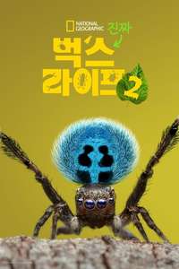 A Real Bug's Life - Posters