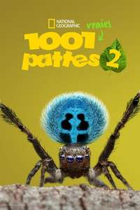 A Real Bug's Life - Posters