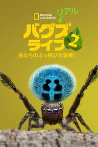 A Real Bug's Life - Posters