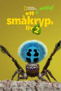 A Real Bug's Life - Posters