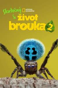 A Real Bug's Life - Posters