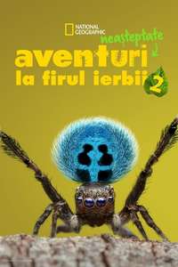 A Real Bug's Life - Posters