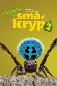 A Real Bug's Life - Posters