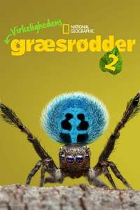 A Real Bug's Life - Posters