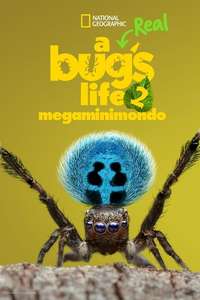 A Real Bug's Life - Posters