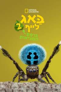 A Real Bug's Life - Posters