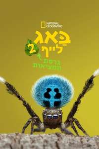 A Real Bug's Life - Posters