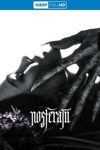 Nosferatu - Posters