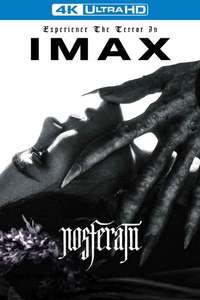 Nosferatu - Posters