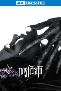Nosferatu - Posters
