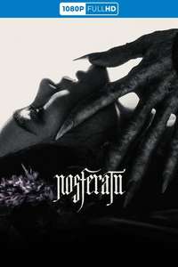 Nosferatu - Posters