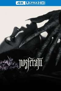 Nosferatu - Posters